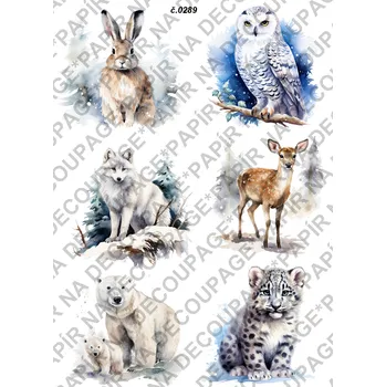 Výtvarný papír Rýžový a soft papír na decoupage - Zvířata - KB0289 Materiál: Rýžový papír, Rozměr: A4