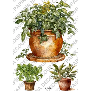 Umělecký papír Rýžový a soft papír na decoupage - Bylinka v květináči - KB0178 Materiál: Soft, Rozměr: A4