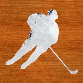 Samolepicí dekorace na vozidlo Hokejista1 – samolepka z fólie