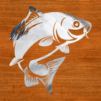 Samolepicí dekorace na vozidlo Kapr – samolepka z fólie (rybářské)