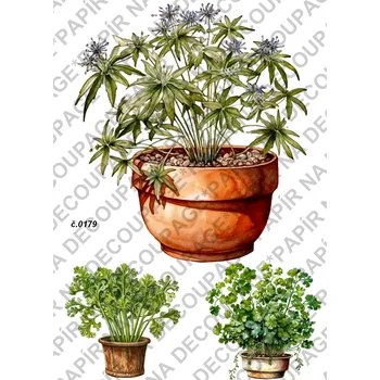 Umělecký papír Rýžový a soft papír na decoupage - Bylinka v květináči - KB0179 Materiál: Soft, Rozměr: A4