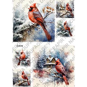 Umělecký papír Rýžový a soft papír na decoupage - Ptáci v zimě - KB0170 Materiál: Soft, Rozměr: A4