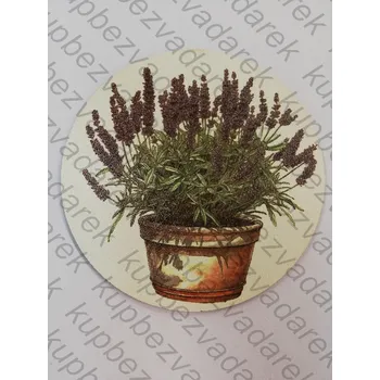 Podtácek - Květináč s levandulí Velikost: 15cm