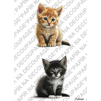 Umělecký papír Rýžový a soft papír na decoupage - Koťátko - KB030 Materiál: Soft, Rozměr: A4