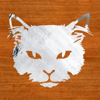 Samolepicí dekorace na vozidlo Kočka portrét – samolepka z fólie