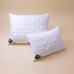 Polštář antibakteriální SILVER PLUS 50 x 70 cm, se zipem