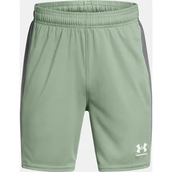 Chlapecké kraťasy Chlapecké kraťasy Under Armour UA B's Ch. Knit Short - Kluci Under Armour světle zelená 3282168