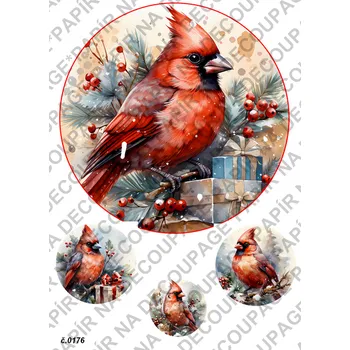 Umělecký papír Rýžový a soft papír na decoupage - Ptáci v zimě - KB0176 Materiál: Rýžový papír, Rozměr: A4