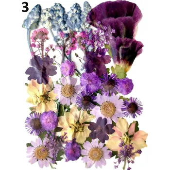Sušené a lisované květiny do pryskyřice „D“ Druh: 3