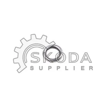 Vakuové čerpadlo Těsnění, vakuové čerpadlo ŠKODA Original OEM 059145117B