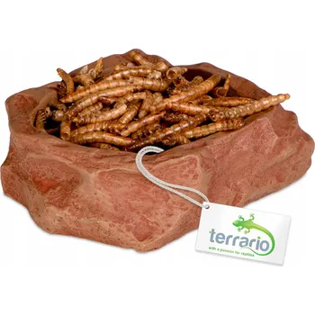 MISKA NÁDOBA NAPÁJEČKA DO TERÁRIA 8X7X2,5 CM - TERRARIO NATURAL BOWL S