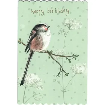 Přání v obálce Long Tail Tit, Ptáčci od ALEX CLARK 15*10 cm (Blahopřání ptáčci, ptáček, )