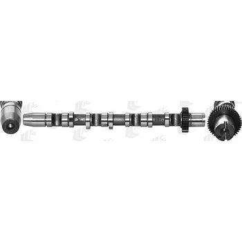 Vačková hřídel Vačkový hřídel FEDERAL MOGUL CAM934