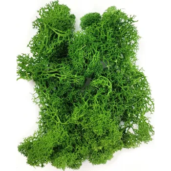 Stabilizovaný / preparovaný mech (lišejník) do pryskyřice zelený 20 g Barva: Zelená