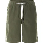 LIVERGY® Pánské kraťasy (zelená, L (52/54))
