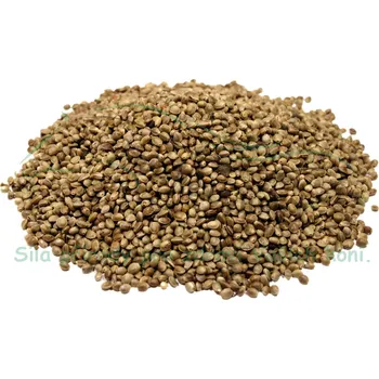 Krmivo pro koně Koňské bylinky Konopné semínko