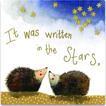 Dekorativní magnet Magnetka Alex Clark Stargazers Hedgehog (Dekorační magnet s ježečkem, ježek)