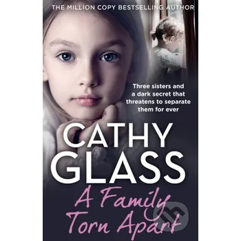A Family Torn Apart - Cathy Glass HarperCollins
