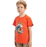 tričko Quiksilver Kong Story - NME0/Tigerlily 5 Years