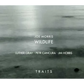 Zahraniční hudba CD Joe Morris Wildlife: Traits 2016