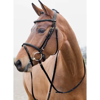Kožená uzdečka Horze Constanz, černá - vel. Pony