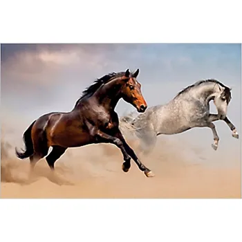 Psací stůl PODLOŽKA na psací stůl Ochranná podložka na STŮL s motivem Koní Panta Plast