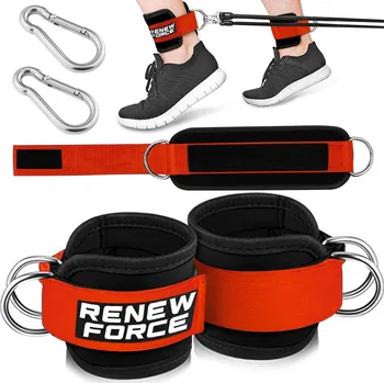 Obraz Závěsná posilovací kladka volně stojící Renew Force