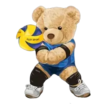 Nažehlovací obrázek - méďa VOLEJBAL (7,21 x 9,0 cm)