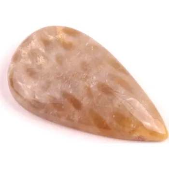 Přírodní kámen Kabošon Fossil Coral č.2091 (43x24x8mm)