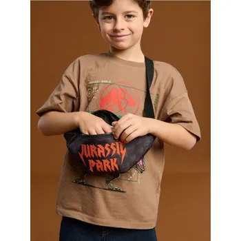 Ledvinka Sinsay - Ledvinka Jurassic Park - černá - 826DS-99X - 826DS-99X-ONE