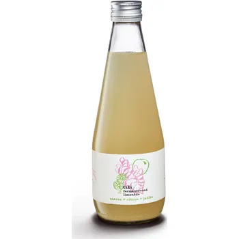 Limonáda Tibi Fermentovaná limonáda zázvor/citron/jablko 330 ml