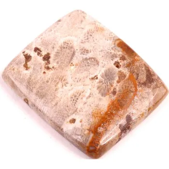 Přírodní kámen Kabošon Fossil Coral č.2086 (36x31x6mm)
