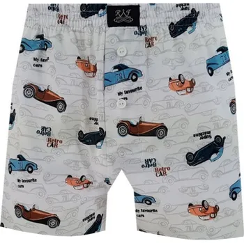 Pánské spodní prádlo Pánské Trenkoslipy FOLTÝN PTS 203 Velikost: 4XL