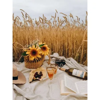 MALOVÁNÍ PODLE ČÍSEL PIKNIK V OBILÍ SE SLUNEČNICEMI 40x50 S RÁMEM