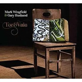 Zahraniční hudba CD Gary Husband: Tor & Vale 2019