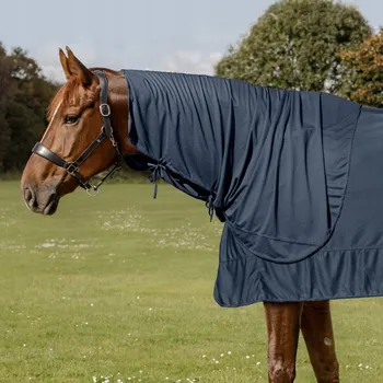 Deka pro koně Waldhausen Health & Care Ice Layer - Chladící límec pro koně Pony