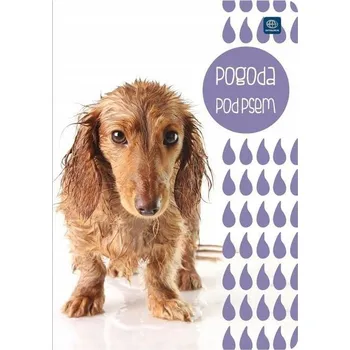 Sešit Sešit A5 hladký, školní sešity v měkké vazbě, mix barev Interdruk, 16 listů