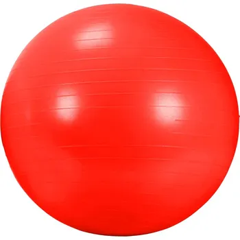 Sport DMA DMA, AGB 434RD, Rehabilitační míč GYM BALL 55 cm