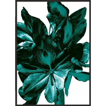 Obraz Plakát obraz plakát v rámu 53 x 73 cm