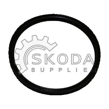 Palivový systém Těsnění, hrdlo škrtící klapky ŠKODA Original OEM 04L145119A