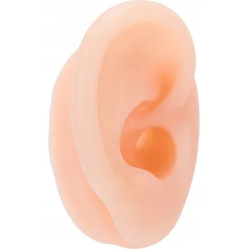 MODEL PRAVÉHO UCHA ČLOVĚKA UMĚLÉ UCHO SILIKONOVÝ MODEL UCHA