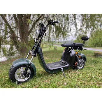 Elektrokoloběžka Leramotors Elektrický skútr Lera Scooters C2 2000W zelený