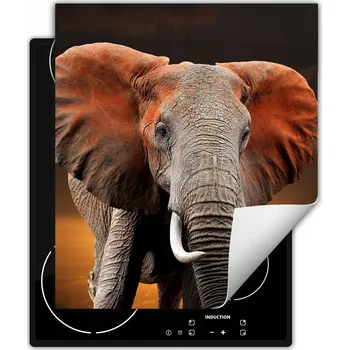 Obraz Ochranná podložka pod indukční varnou desku dekorativní, rolovací do kuchyně, potisk 45x52 cm wm0544