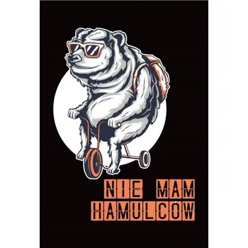 Obraz PLAKÁT BEZ RÁMU dárek vtipný NEMÁM BRZDY kolo P2618_50x70