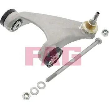 Zavěšení kol Řídicí páka, zavěšení kol Schaeffler FAG 821 0437 10