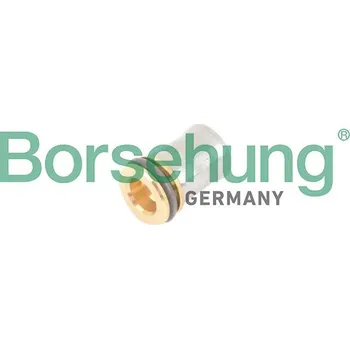 Motor automobilu Ventil, odvětrání klikové skříně Borsehung B12241