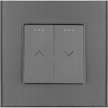 vypínač Vypínač Rolet, Žaluzií a Závěsů Skleněný Šedý MIUUN