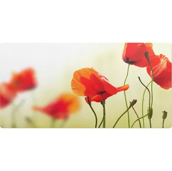 Obraz Ochranná podložka Wallfluent 60 x 120 cm, vícebarevná