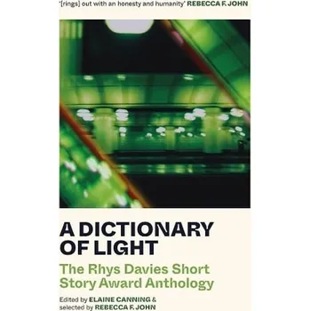 Cizojazyčná kniha Dictionary of Light