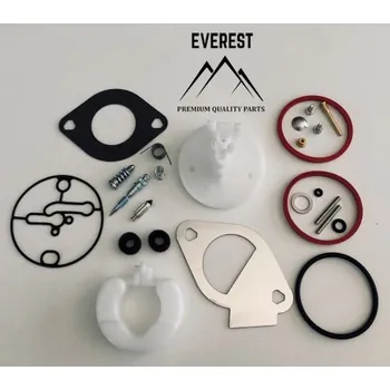 Karburátor Everest Opravárenská sada karburátoru Nikki, Briggs and Stratton 10,5 - 19 HP 796184